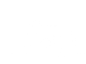 Artboard 1Sonogram